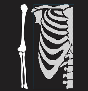 Hotfix Rhinestone Transfer: 21087 Bone Rib Cage With Arm - 1 Side