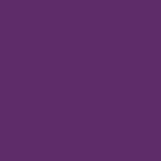 Oracal 651 High Gloss Intermediate Vinyl - 12